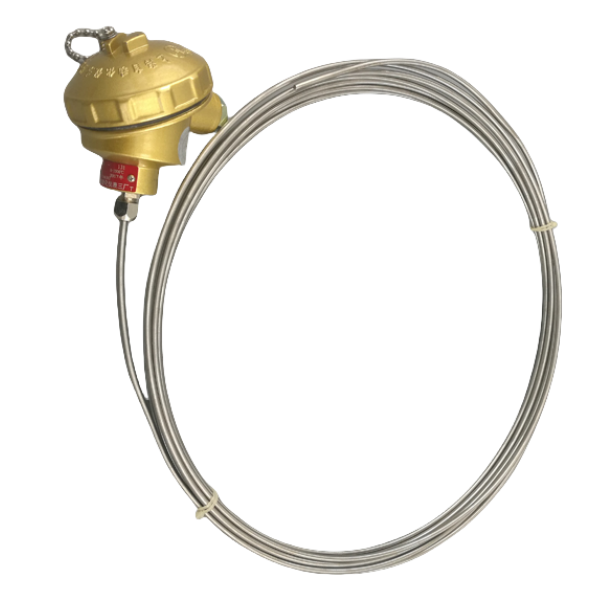 WREK-132铠装热电偶