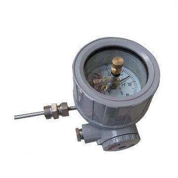 WSSX-481B防爆电接点双金属温度计