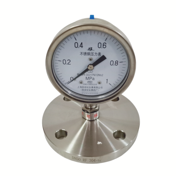 Y-100B-F/Z/MFB/316L法兰型隔膜压力表
