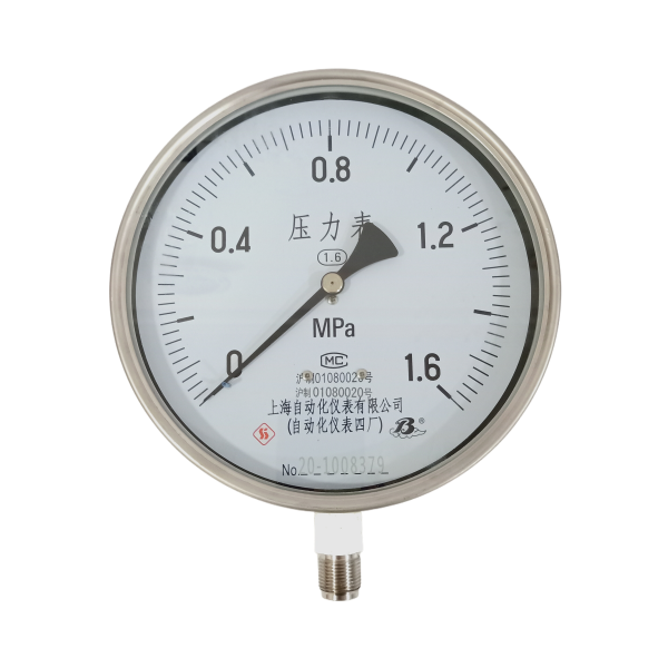 Y-200BF(0-1.6MPa)不锈钢压力表