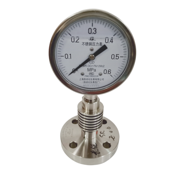 Y-100B-FZ/SR/MFB/316L高温型隔膜压力表