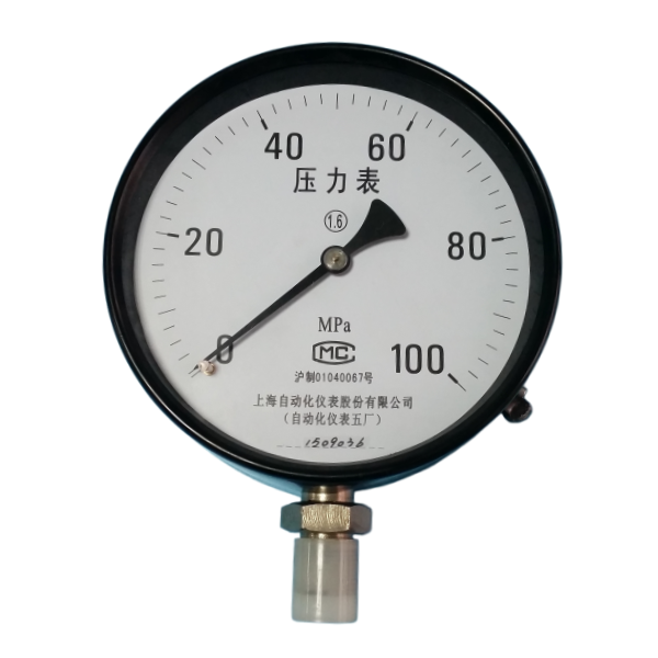 Y-200,0-100MPa高压压力表