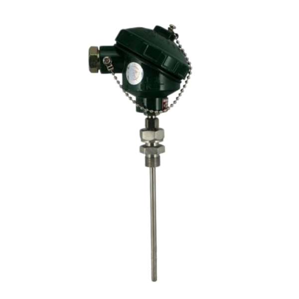 WZPT2-31轴承热电阻